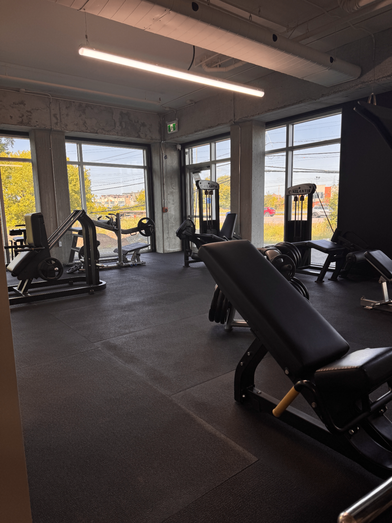 Zone musculation (machines)