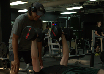 Entraînement haltères